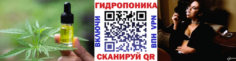 Еда ТГК марихуана  хочу   площадка наркотические препараты  Шенкурск 