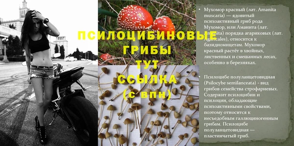 тгк Бугульма