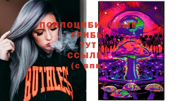 хмурый Бронницы