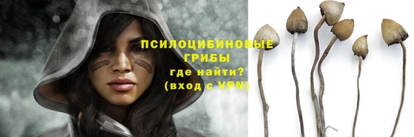 тгк Бугульма