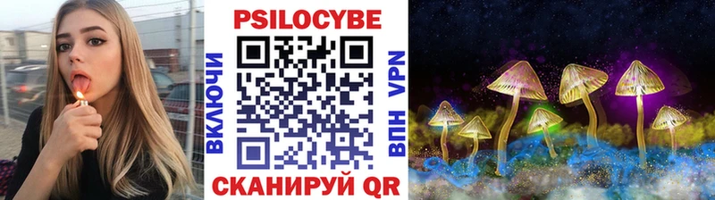 сколько стоит  Шенкурск  Псилоцибиновые грибы мицелий 